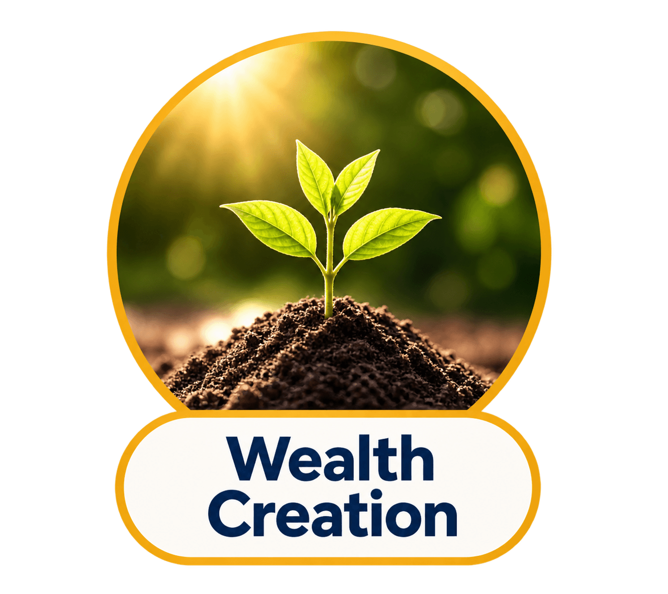 wealth creation